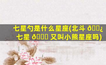 七星勺是什么星座(北斗 🌿 七星 🐟 又叫小熊星座吗)